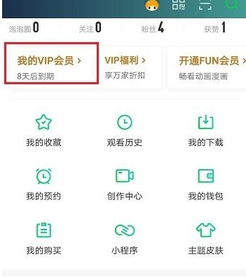 爱奇艺vipfun什么意思