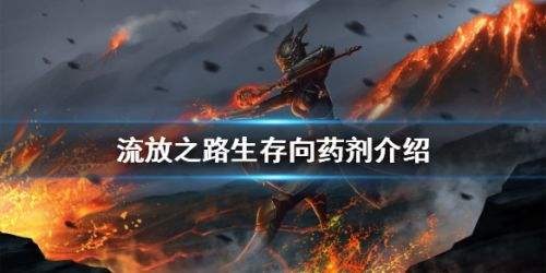《流放之路》生存药剂介绍 《流放之路》生存药剂有哪些？