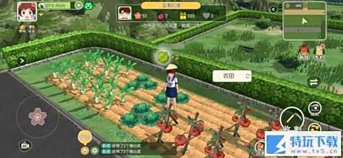 小森生活社交怎么玩 小森生活社交玩法介绍