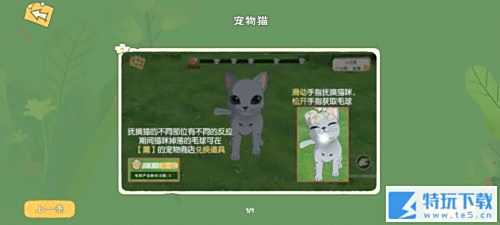 小森生活怎么撸猫 小森生活手游撸猫攻略