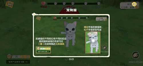 小森生活猫咪怎么玩 小森生活猫咪玩法介绍
