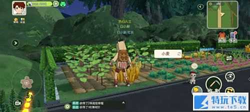 小森生活如何制作料理 小森生活制作料理方法介绍
