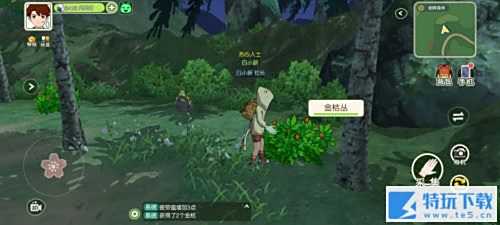 小森生活如何制作料理 小森生活制作料理方法介绍