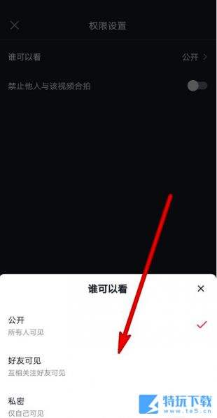 抖音拍摄的作品查看权限设置教程