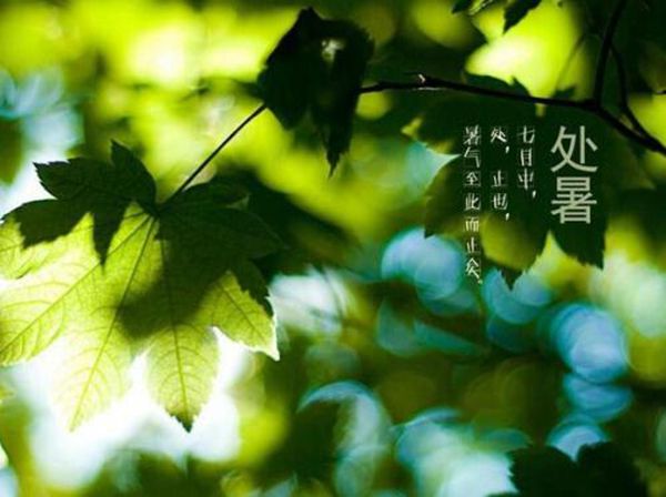 处暑是什么意思?处暑有哪些特点(天气变凉秋天来到)1