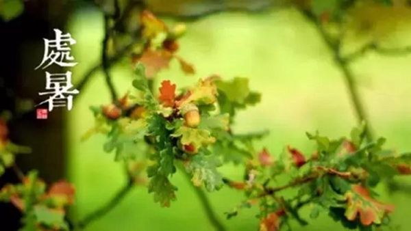 处暑是什么意思?处暑有哪些特点(天气变凉秋天来到)6