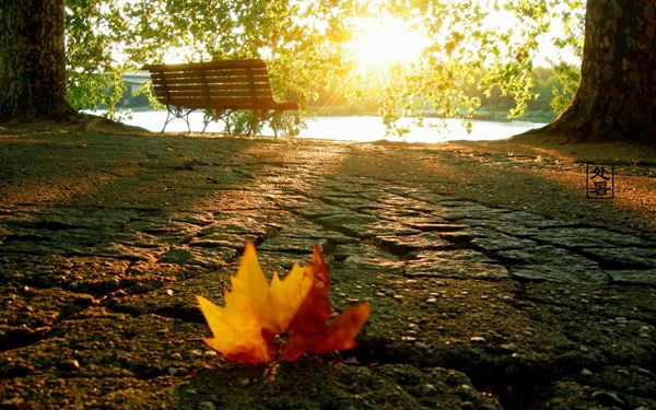 处暑是什么意思?处暑有哪些特点(天气变凉秋天来到)4