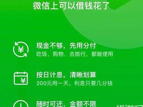 微信分付怎么开通额度 微信分付开通额度教程[多图]图片2