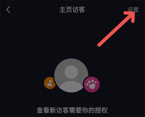 抖音怎么看访客记录浏览量
