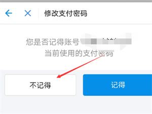 支付宝支付密码忘了怎么办