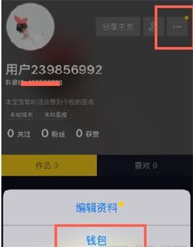 抖音音浪可以换多少钱