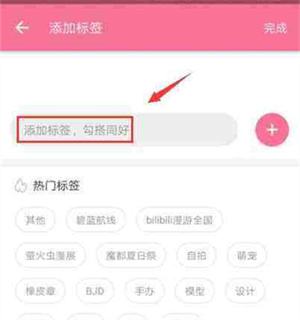 哔哩哔哩标签怎么填
