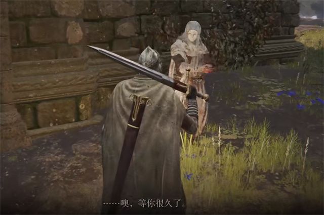 艾尔登法环梵雷的花束在哪里怎么获得3