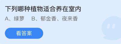 蚂蚁庄园4月22日：下列哪种植物适合养在室内2
