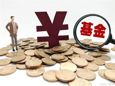 基金红利再投资为什么持股数没变