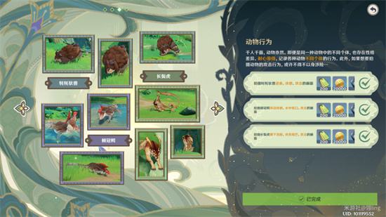 《原神》动物行为拍摄位置攻略详解