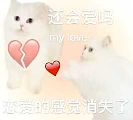微信猫咪表情包分享 又土又怪的猫咪表情包第一弹