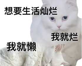微信猫咪表情包分享 又土又怪的猫咪表情包第一弹