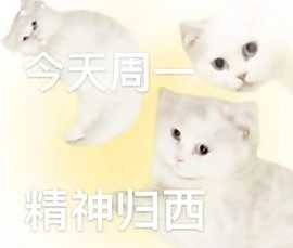 微信猫咪表情包分享 又土又怪的猫咪表情包第一弹