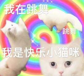 微信猫咪表情包分享 又土又怪的猫咪表情包第一弹