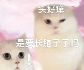 微信猫咪表情包分享 又土又怪的猫咪表情包第一弹