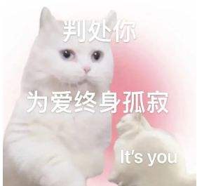 微信猫咪表情包分享 又土又怪的猫咪表情包第二弹