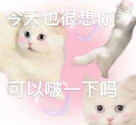 微信猫咪表情包分享 又土又怪的猫咪表情包第二弹