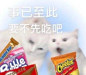 微信猫咪表情包分享 又土又怪的猫咪表情包第二弹