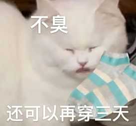 微信猫咪表情包分享 又土又怪的猫咪表情包第三弹