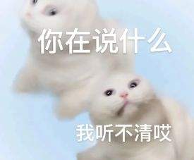微信猫咪表情包分享 又土又怪的猫咪表情包第三弹
