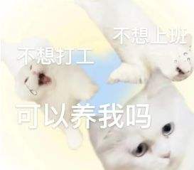 微信猫咪表情包分享 又土又怪的猫咪表情包第四弹