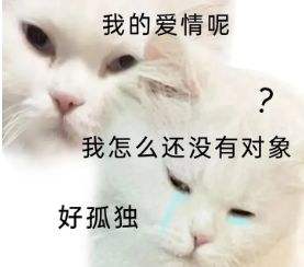微信猫咪表情包分享 又土又怪的猫咪表情包第四弹