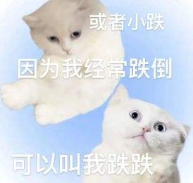 微信猫咪表情包分享 又土又怪的猫咪表情包第四弹
