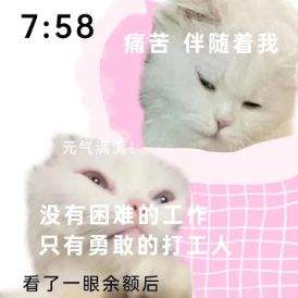 微信猫咪表情包分享 又土又怪的猫咪表情包第四弹