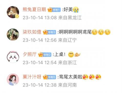 《以闪亮之名》新版本体验 鸢尾是怎么做到悄悄惊艳所有人