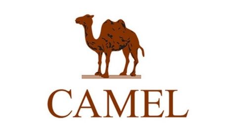抖音电商品牌案例：骆驼CAMEL案例分析及运营打法拆解 