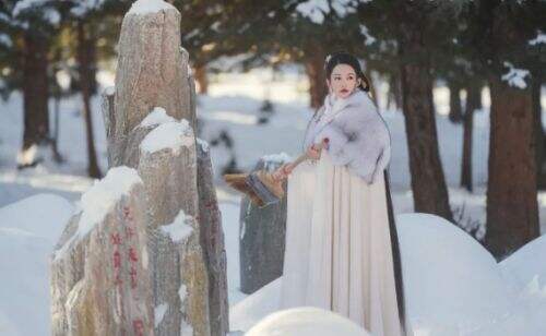 《七夜雪》摩家村被屠伏笔已埋下,竟与霍展白有关,秋水鹤开启寻踪之旅