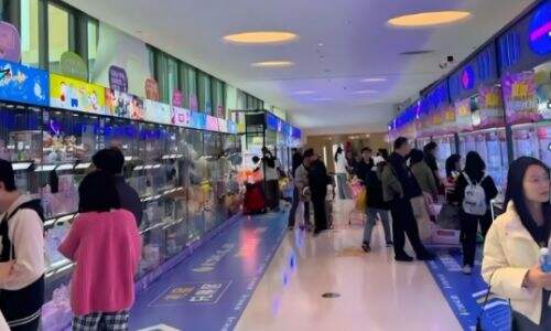 狗头萝莉当潮玩店老板,有多名金主投资开店,网友:也是越来越好了