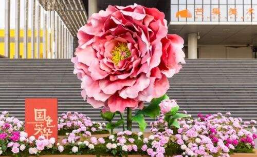 《国色芳华》开播牌面拉满,多国同步播出,电视台门口立起大牡丹