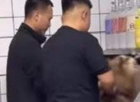 网红小狗“艾特”去世,网友矛头直指潘宏,本人回应:不关我事
