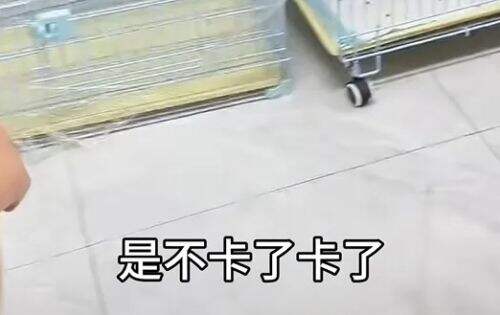 网红狗“艾特”直播洗澡遭意外,千万粉博主遭骂,更有明星发声指责