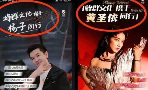 扬子和黄圣依签约蜂群文化,留几手持股15%,网友:为了流量脸都不要