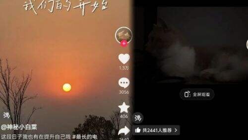 一条小团团在某音发布视频,称正在提升自己,暂不打算重新开直播
