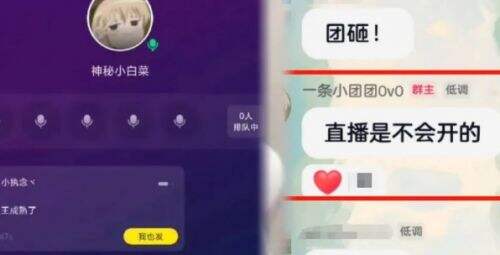 一条小团团在某音发布视频,称正在提升自己,暂不打算重新开直播