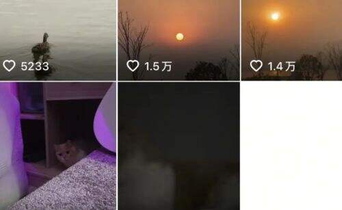 一条小团团更新视频，和男团合唱新歌太好听，称以后不会再直播了