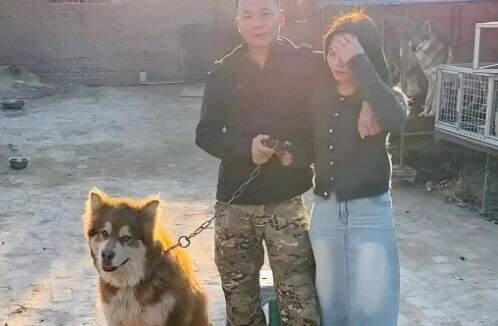 训狗一哥潘宏又出事,要求主人签“天价合同”,网友:这波站潘宏