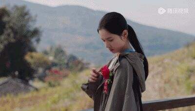 《焕羽》张婧仪婚礼手撕家族遮羞布，女性觉醒戏引爆热搜